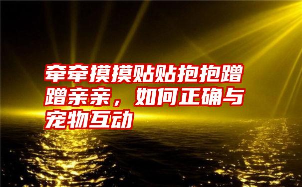 牵牵摸摸贴贴抱抱蹭蹭亲亲，如何正确与宠物互动