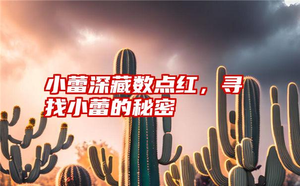 小蕾深藏数点红，寻找小蕾的秘密