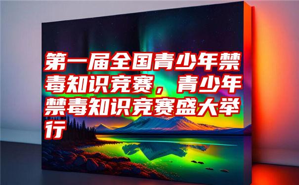 第一届全国青少年禁毒知识竞赛，青少年禁毒知识竞赛盛大举行