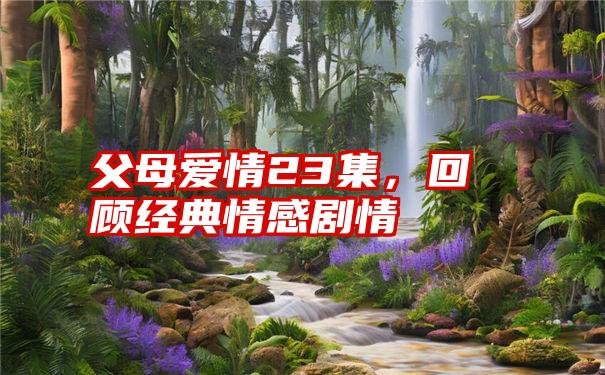 父母爱情23集,回顾经典情感剧情