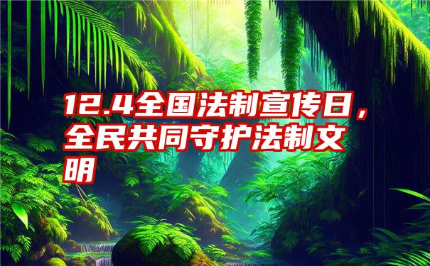 12.4全国法制宣传日，全民共同守护法制文明