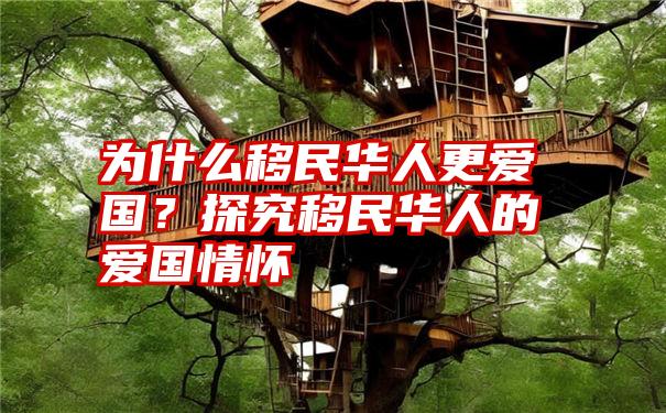 为什么移民华人更爱国？探究移民华人的爱国情怀