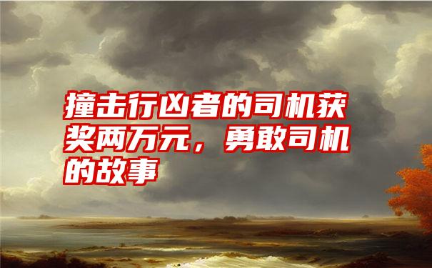 撞击行凶者的司机获奖两万元,勇敢司机的故事