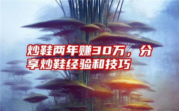 炒鞋两年赚30万，分享炒鞋经验和技巧