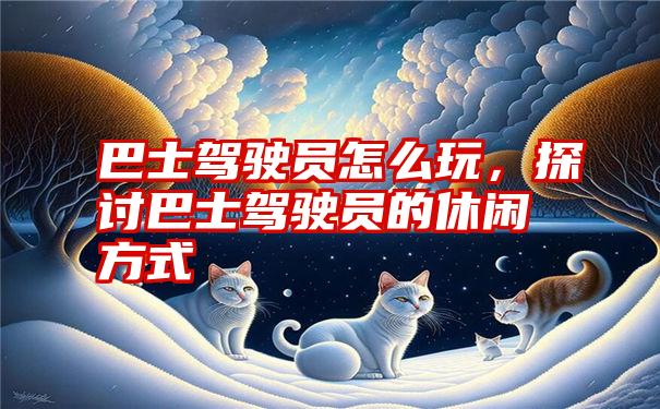 巴士驾驶员怎么玩，探讨巴士驾驶员的休闲方式