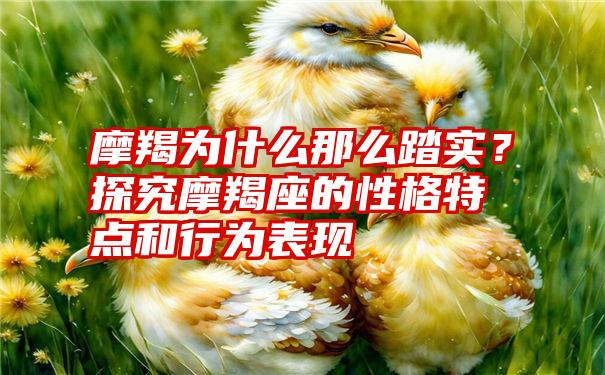 摩羯为什么那么踏实？探究摩羯座的性格特点和行为表现