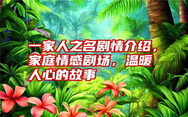 一家人之名剧情介绍，家庭情感剧场，温暖人心的故事