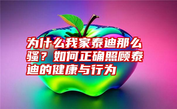 为什么我家泰迪那么骚？如何正确照顾泰迪的健康与行为