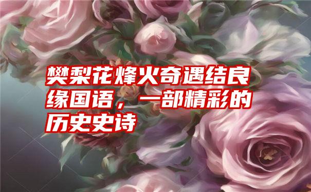 樊梨花烽火奇遇结良缘国语，一部精彩的历史史诗