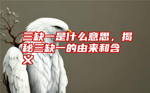 三缺一是什么意思，揭秘三缺一的由来和含义