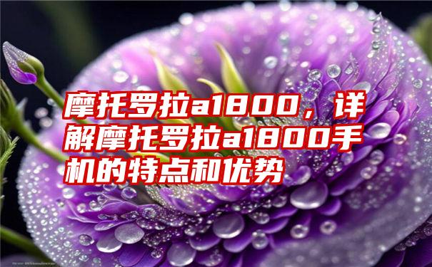 摩托罗拉a1800，详解摩托罗拉a1800手机的特点和优势