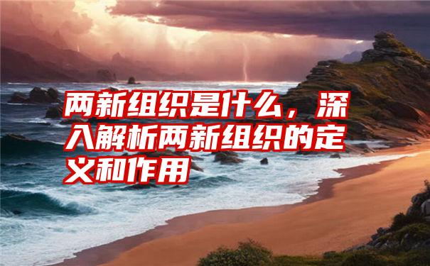 两新组织是什么,深入解析两新组织的定义和作用