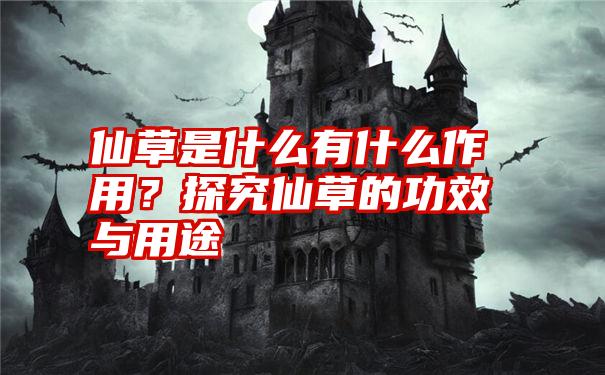 仙草是什么有什么作用?探究仙草的功效与用途
