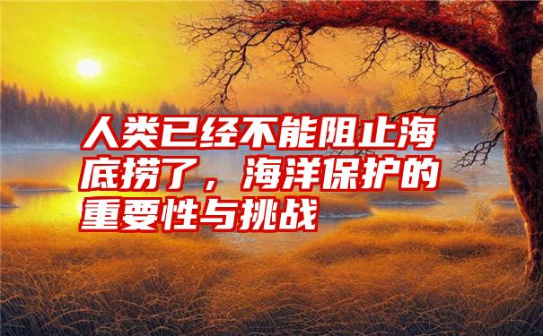 人类已经不能阻止海底捞了，海洋保护的重要性与挑战