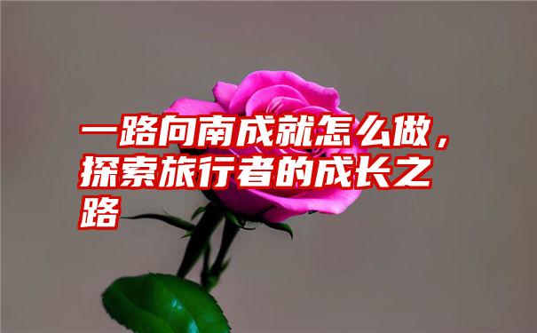 一路向南成就怎么做，探索旅行者的成长之路