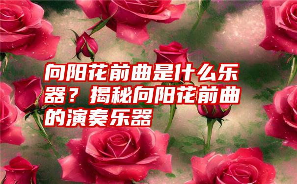 向阳花前曲是什么乐器？揭秘向阳花前曲的演奏乐器