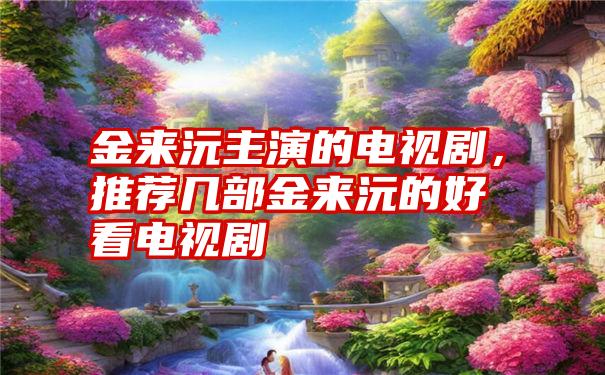 金来沅主演的电视剧，推荐几部金来沅的好看电视剧