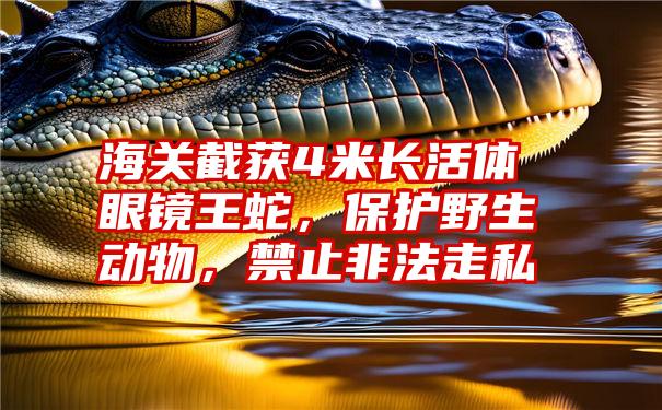 海关截获4米长活体眼镜王蛇,保护野生动物,禁止非法走私