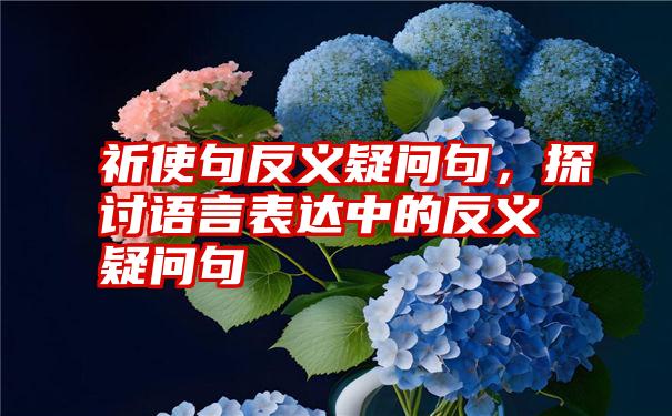 祈使句反义疑问句，探讨语言表达中的反义疑问句