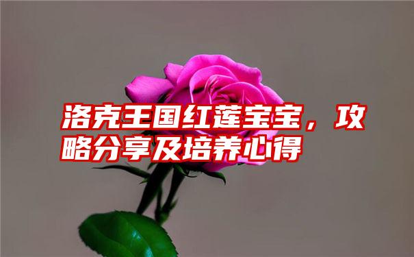 洛克王国红莲宝宝，攻略分享及培养心得