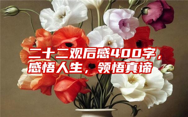 二十二观后感400字，感悟人生，领悟真谛