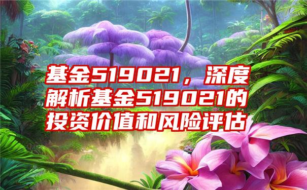 基金519021，深度解析基金519021的投资价值和风险评估