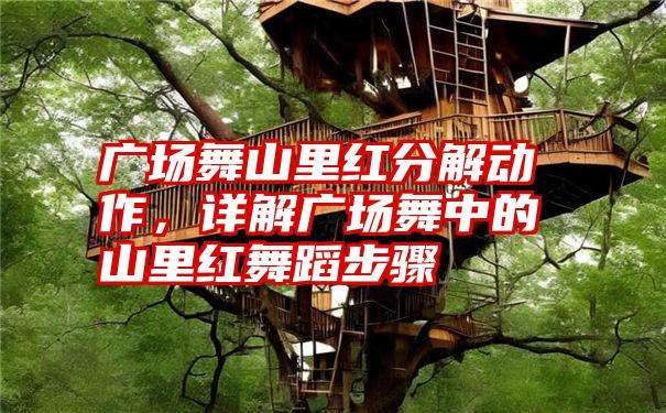 广场舞山里红分解动作，详解广场舞中的山里红舞蹈步骤