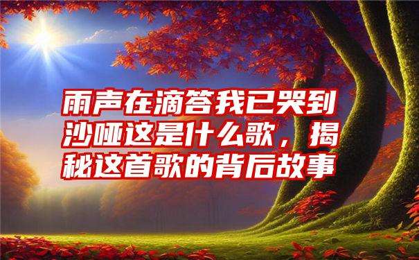 雨声在滴答我已哭到沙哑这是什么歌，揭秘这首歌的背后故事