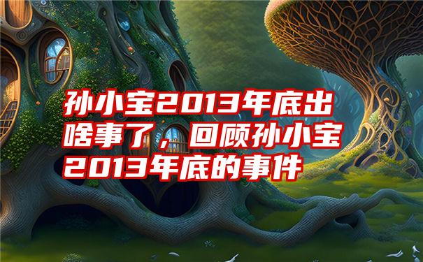 孙小宝2013年底出啥事了，回顾孙小宝2013年底的事件