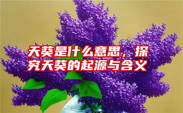 天葵是什么意思,探究天葵的起源与含义