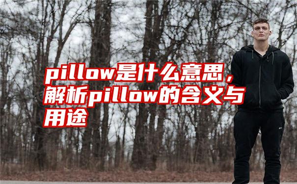 pillow是什么意思，解析pillow的含义与用途