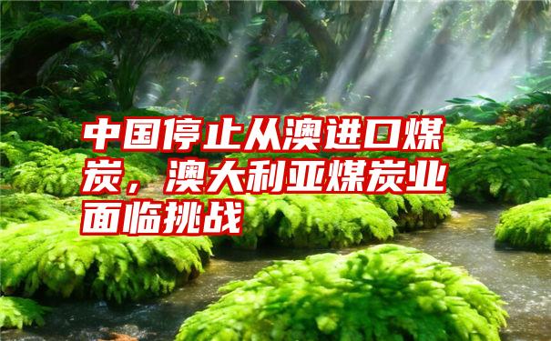 中国停止从澳进口煤炭，澳大利亚煤炭业面临挑战