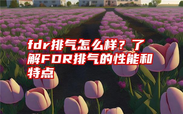 fdr排气怎么样？了解FDR排气的性能和特点