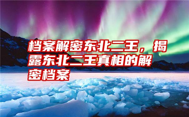 档案解密东北二王,揭露东北二王真相的解密档案