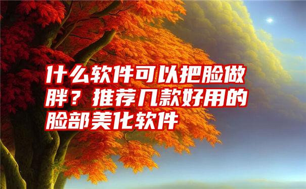 什么软件可以把脸做胖？推荐几款好用的脸部美化软件