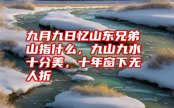 九月九日忆山东兄弟山指什么，九山九水十分美，十年窗下无人折