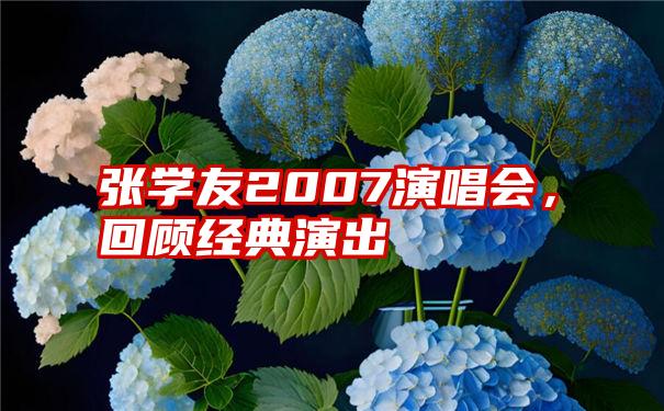 张学友2007演唱会，回顾经典演出