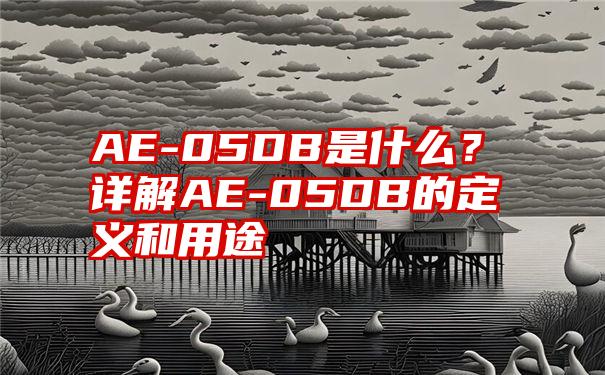 AE-05DB是什么？详解AE-05DB的定义和用途