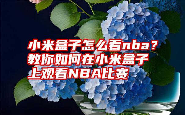 小米盒子怎么看nba？教你如何在小米盒子上观看NBA比赛