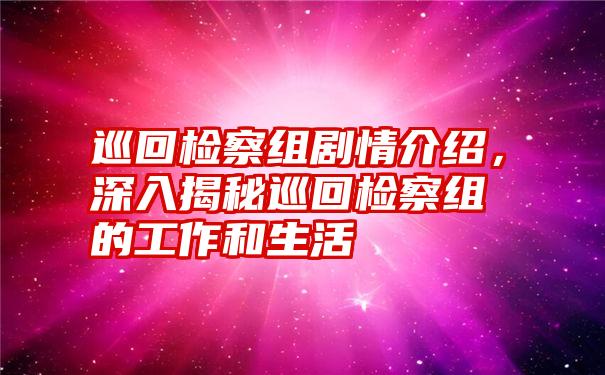 巡回检察组剧情介绍，深入揭秘巡回检察组的工作和生活