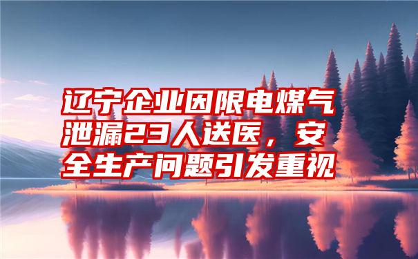 辽宁企业因限电煤气泄漏23人送医,安全生产问题引发重视