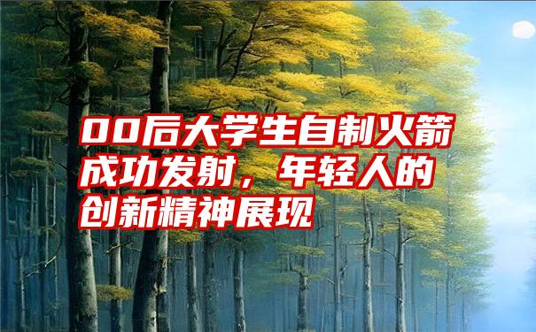 00后大学生自制火箭成功发射，年轻人的创新精神展现