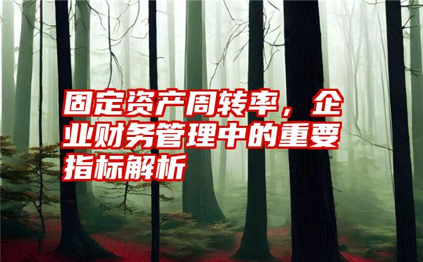 固定资产周转率，企业财务管理中的重要指标解析