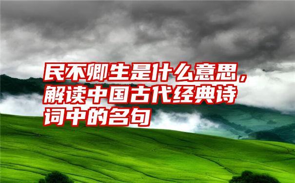 民不卿生是什么意思，解读中国古代经典诗词中的名句