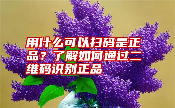 用什么可以扫码是正品？了解如何通过二维码识别正品