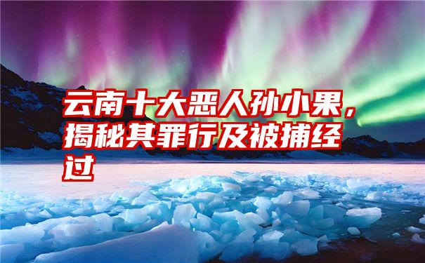 云南十大恶人孙小果,揭秘其罪行及被捕经过