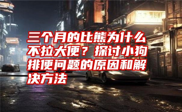 三个月的比熊为什么不拉大便？探讨小狗排便问题的原因和解决方法