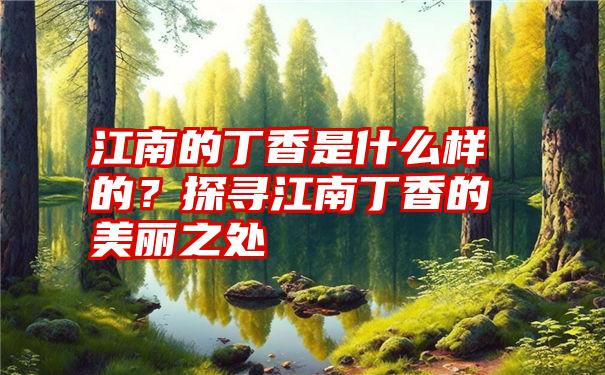 江南的丁香是什么样的？探寻江南丁香的美丽之处