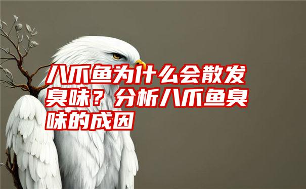 八爪鱼为什么会散发臭味？分析八爪鱼臭味的成因