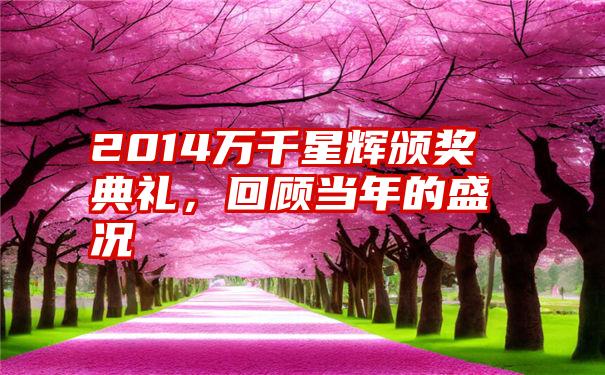 2014万千星辉颁奖典礼,回顾当年的盛况